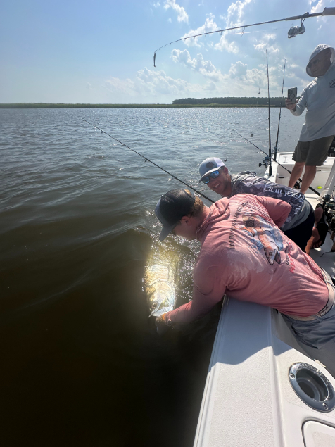 North Island Fishing Charters