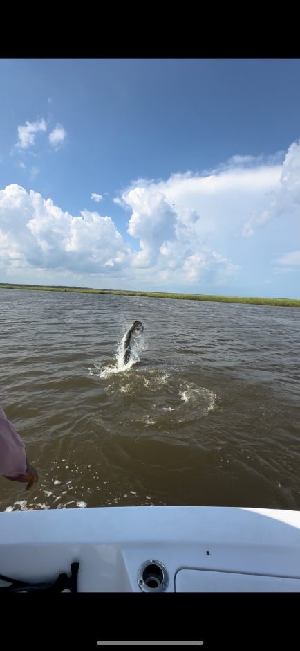 North Island Fishing Charters