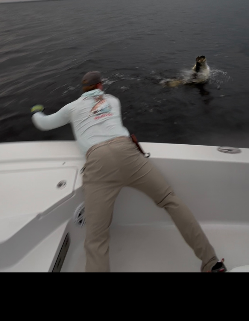 North Island Fishing Charters