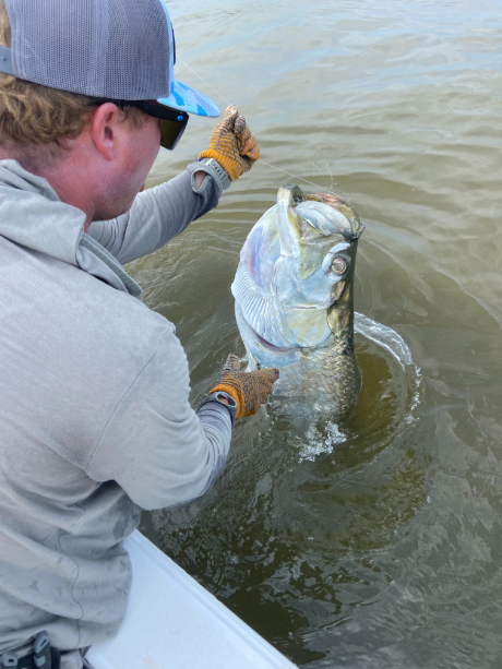 North Island Fishing Charters