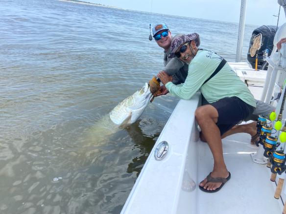 North Island Fishing Charters