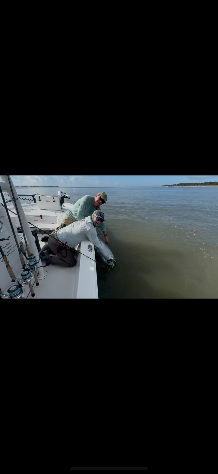 North Island Fishing Charters