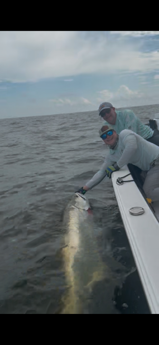 North Island Fishing Charters