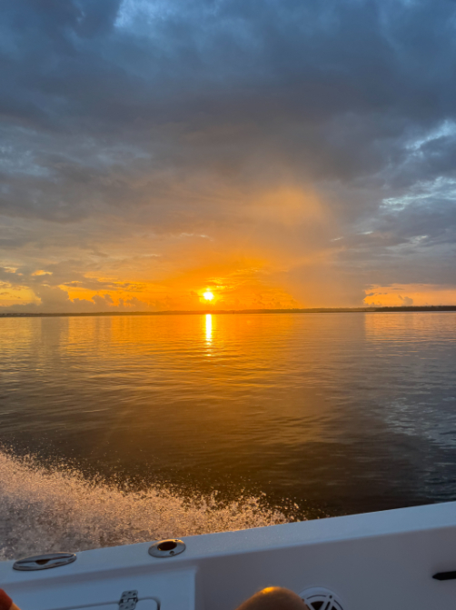 North Island Fishing Charters