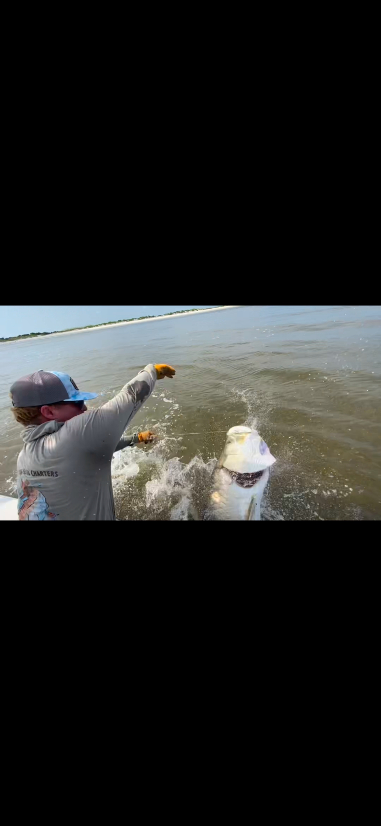 North Island Fishing Charters