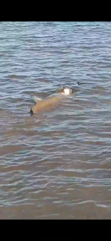 North Island Fishing Charters