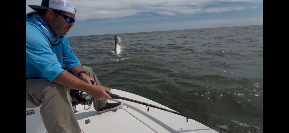 North Island Fishing Charters