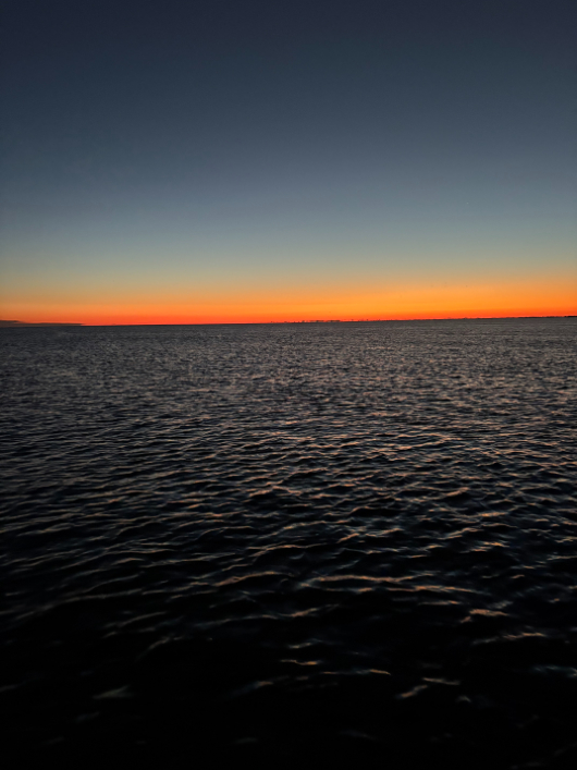 North Island Fishing Charters