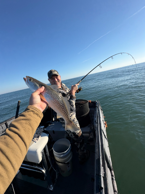 North Island Fishing Charters