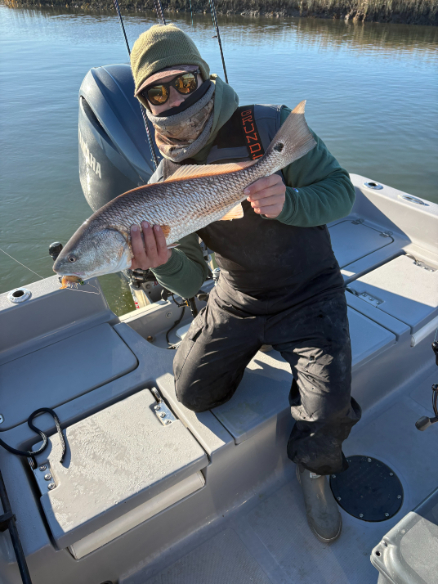 North Island Fishing Charters