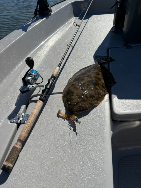 North Island Fishing Charters