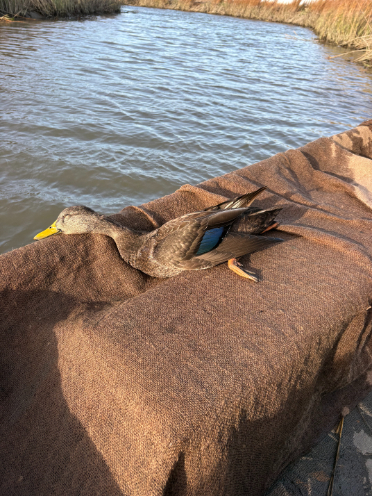 North Island Fishing Charters