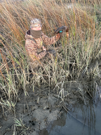 North Island Fishing Charters