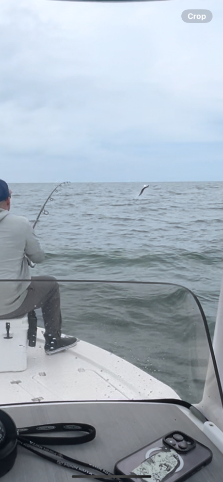 North Island Fishing Charters