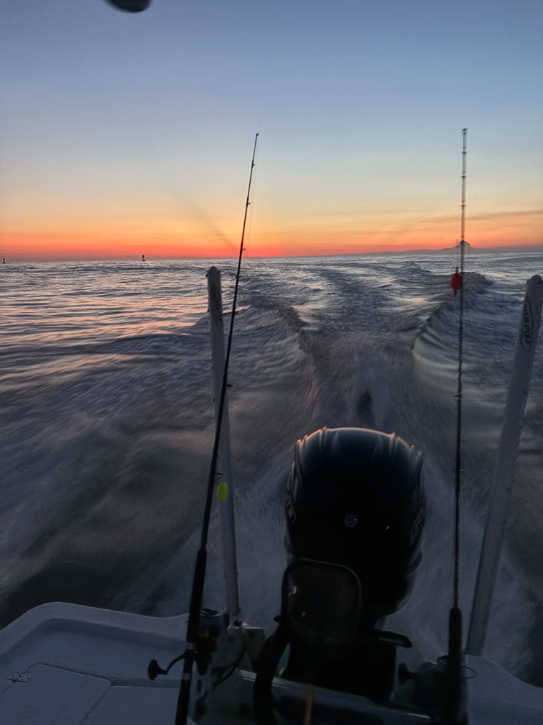 North Island Fishing Charters