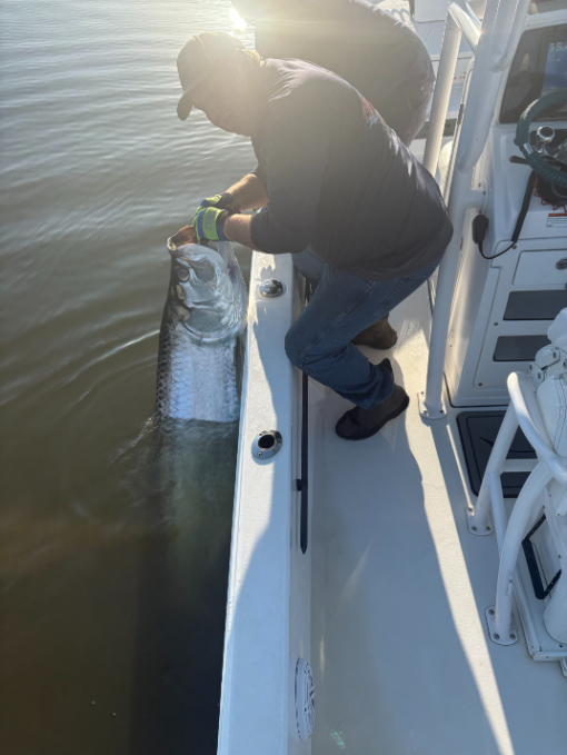 North Island Fishing Charters