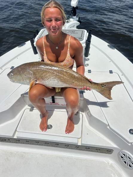 North Island Fishing Charters