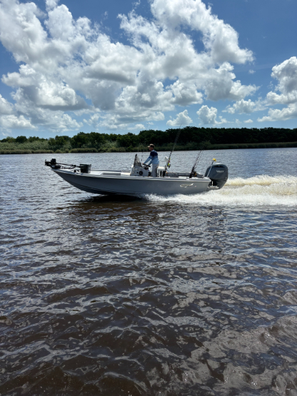 North Island Fishing Charters