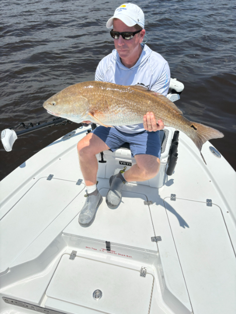 North Island Fishing Charters