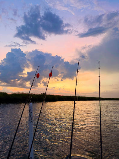 North Island Fishing Charters