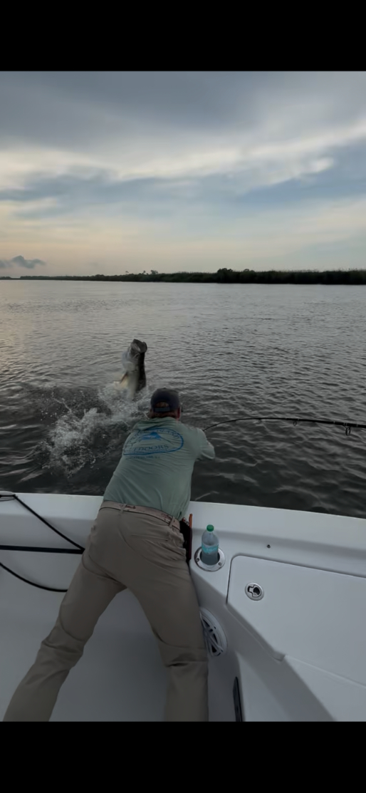 North Island Fishing Charters