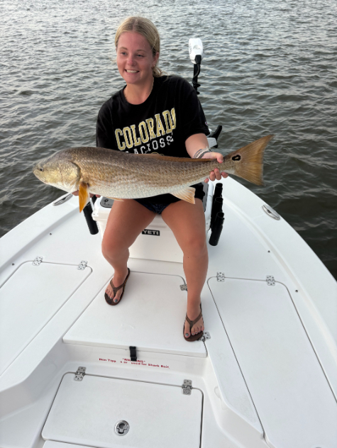 North Island Fishing Charters