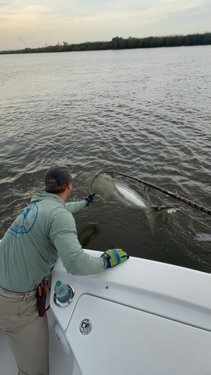 North Island Fishing Charters