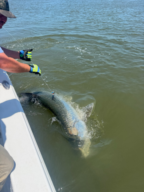 North Island Fishing Charters