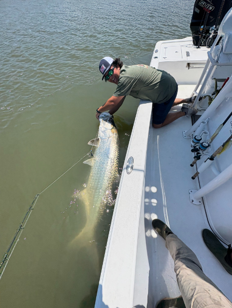 North Island Fishing Charters