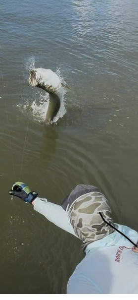 North Island Fishing Charters