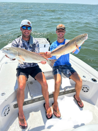 North Island Fishing Charters