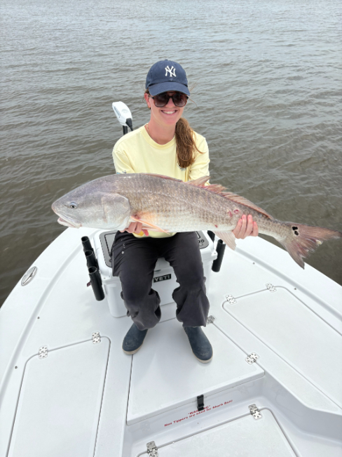 North Island Fishing Charters