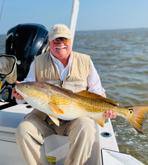 North Island Fishing Charters