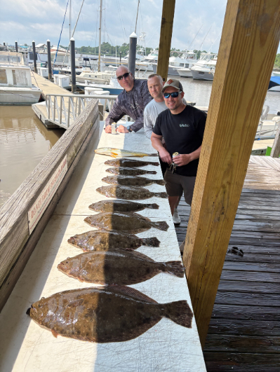 North Island Fishing Charters