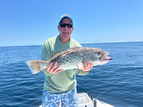 North Island Fishing Charters