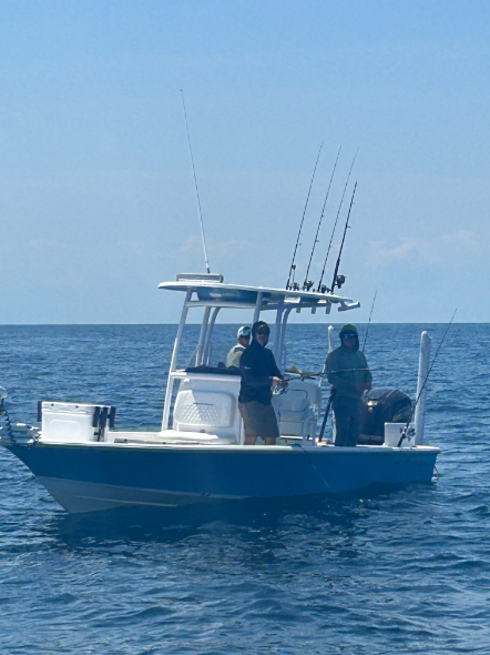 North Island Fishing Charters