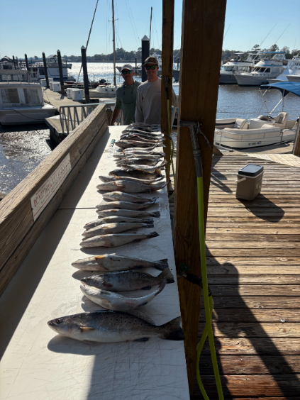 North Island Fishing Charters