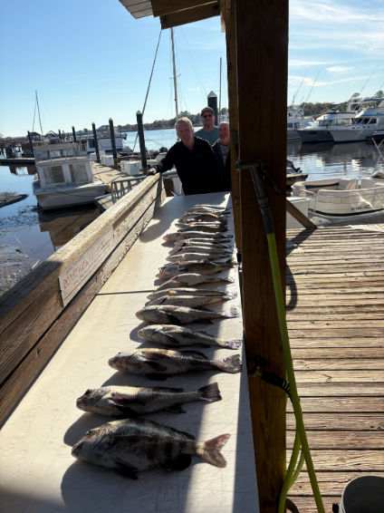 North Island Fishing Charters