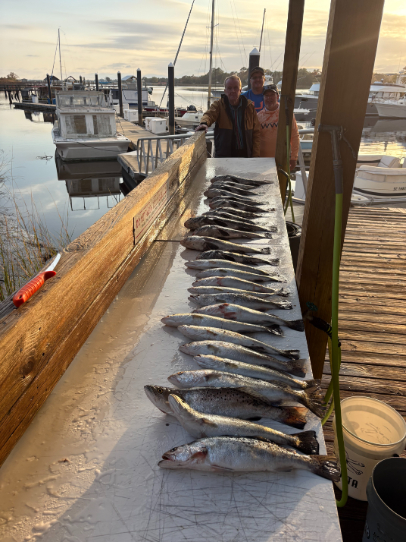 North Island Fishing Charters