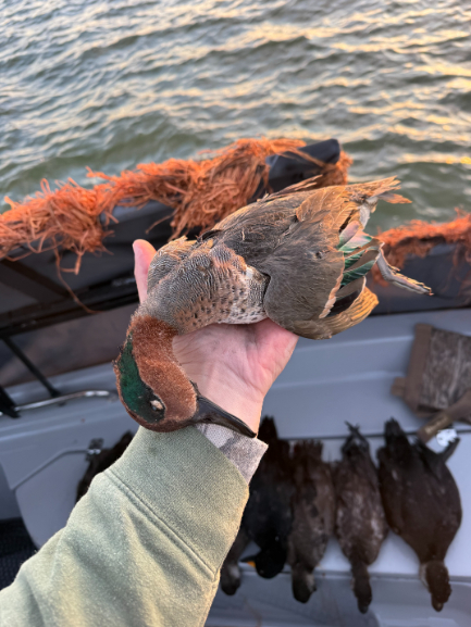 North Island Fishing Charters