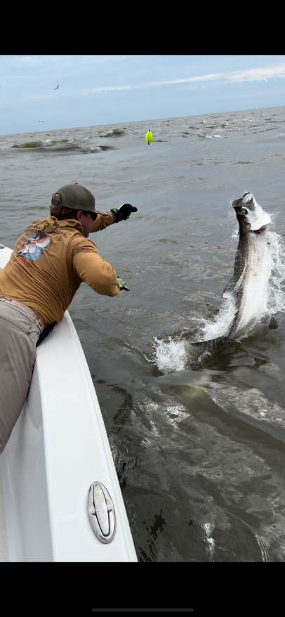 North Island Fishing Charters