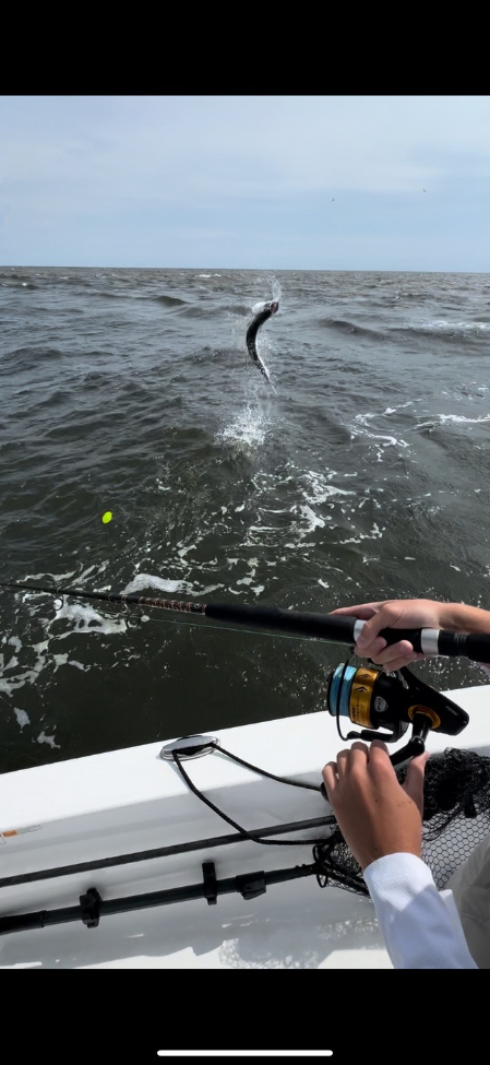 North Island Fishing Charters