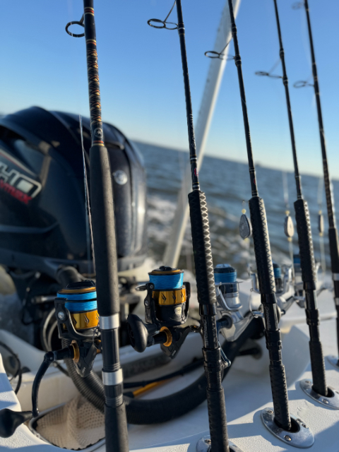 North Island Fishing Charters