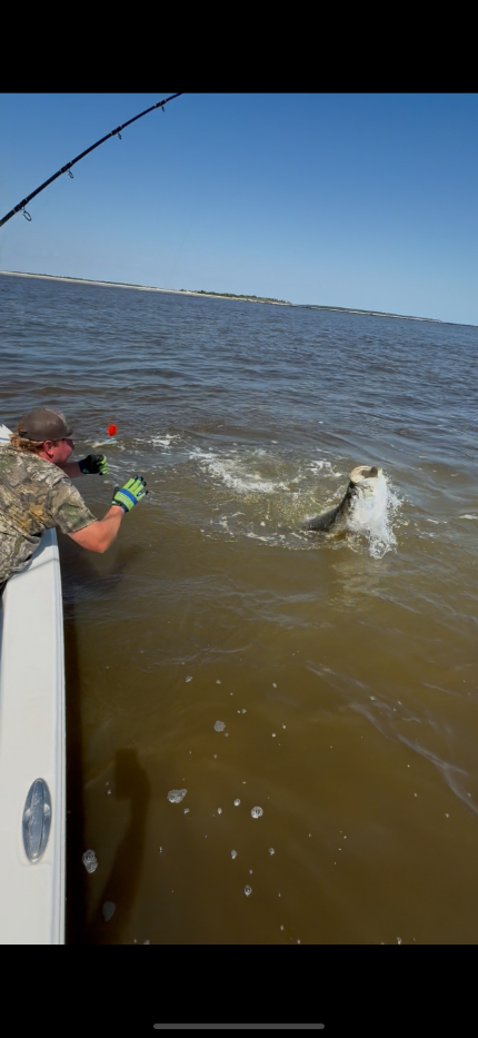 North Island Fishing Charters