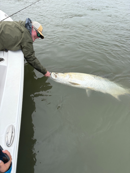 North Island Fishing Charters