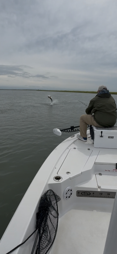 North Island Fishing Charters