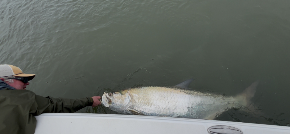 North Island Fishing Charters