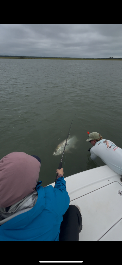 North Island Fishing Charters