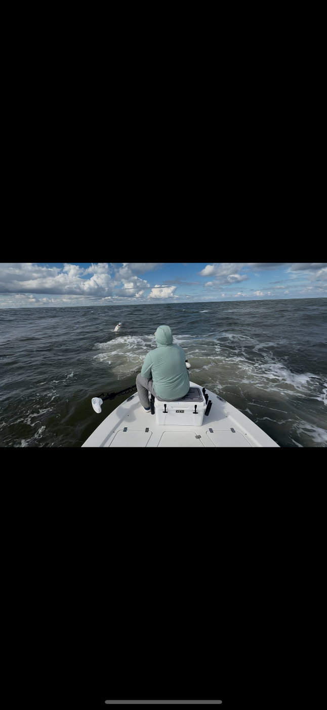 North Island Fishing Charters