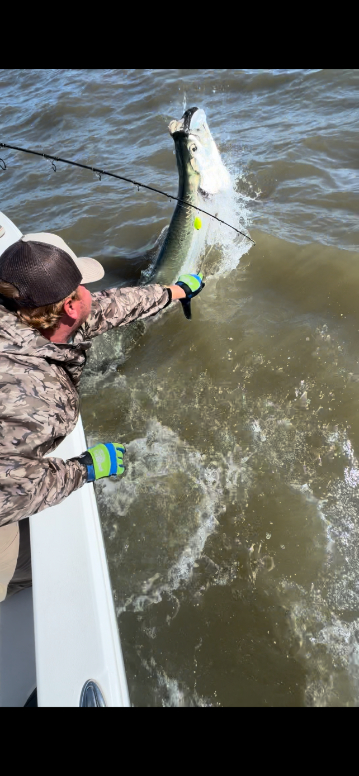 North Island Fishing Charters